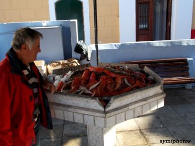 Κάντε κλικ για να δείτε την εικόνα σε πλήρες μέγεθος