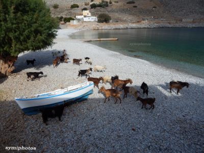 Κάντε κλικ για να δείτε την εικόνα σε πλήρες μέγεθος