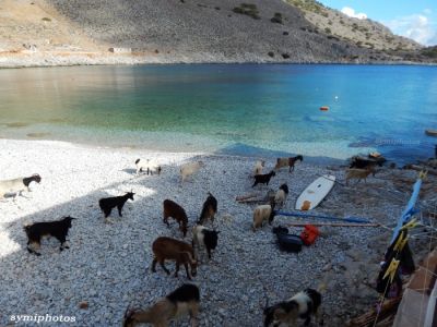 Κάντε κλικ για να δείτε την εικόνα σε πλήρες μέγεθος