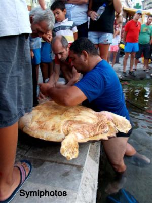 Κάντε κλικ για να δείτε την εικόνα σε πλήρες μέγεθος