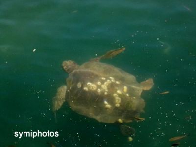 Κάντε κλικ για να δείτε την εικόνα σε πλήρες μέγεθος