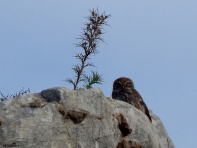 Κάντε κλικ για να δείτε την εικόνα σε πλήρες μέγεθος