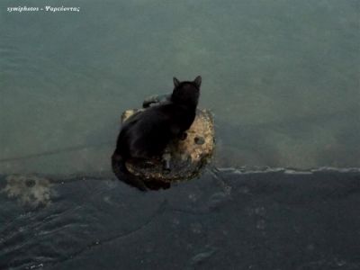 Κάντε κλικ για να δείτε την εικόνα σε πλήρες μέγεθος