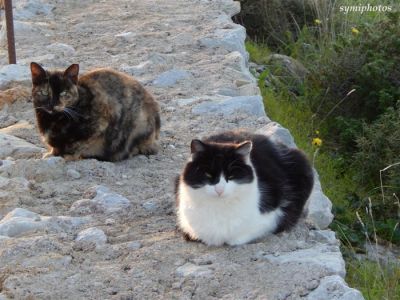 Κάντε κλικ για να δείτε την εικόνα σε πλήρες μέγεθος