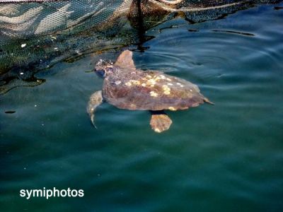 Κάντε κλικ για να δείτε την εικόνα σε πλήρες μέγεθος