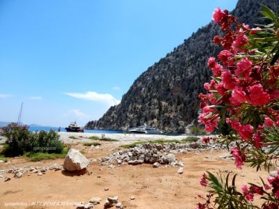 Κάντε κλικ για να δείτε την εικόνα σε πλήρες μέγεθος