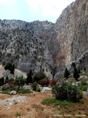 Κάντε κλικ για να δείτε την εικόνα σε πλήρες μέγεθος