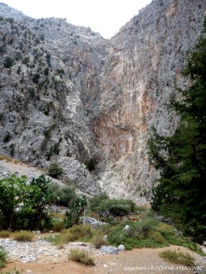 Κάντε κλικ για να δείτε την εικόνα σε πλήρες μέγεθος