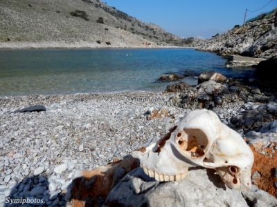 Κάντε κλικ για να δείτε την εικόνα σε πλήρες μέγεθος