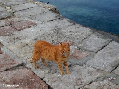 Tam boy resmi görebilmek için tıklayın