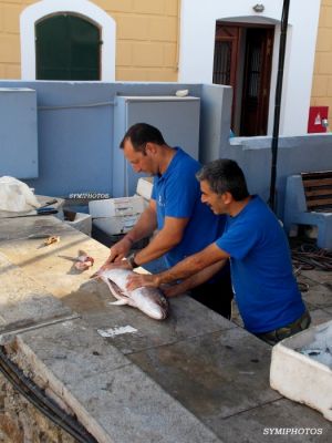 Κάντε κλικ για να δείτε την εικόνα σε πλήρες μέγεθος