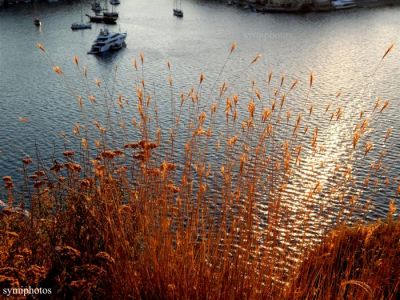 Κάντε κλικ για να δείτε την εικόνα σε πλήρες μέγεθος