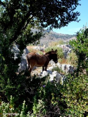 Κάντε κλικ για να δείτε την εικόνα σε πλήρες μέγεθος