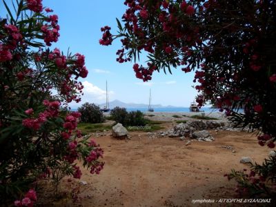 Κάντε κλικ για να δείτε την εικόνα σε πλήρες μέγεθος