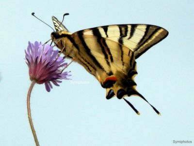 Κάντε κλικ για να δείτε την εικόνα σε πλήρες μέγεθος