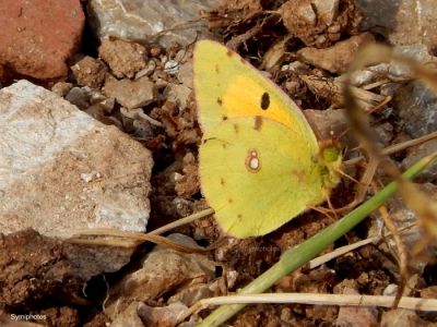 Κάντε κλικ για να δείτε την εικόνα σε πλήρες μέγεθος