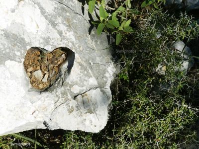 Κάντε κλικ για να δείτε την εικόνα σε πλήρες μέγεθος