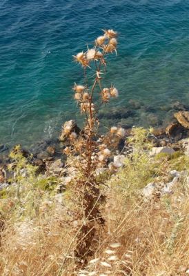 Κάντε κλικ για να δείτε την εικόνα σε πλήρες μέγεθος