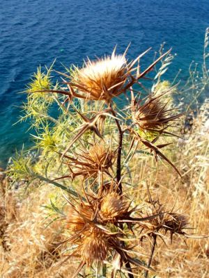 Κάντε κλικ για να δείτε την εικόνα σε πλήρες μέγεθος