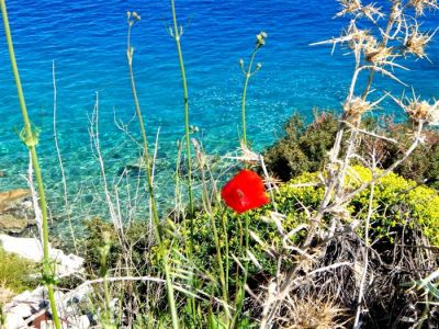 Κάντε κλικ για να δείτε την εικόνα σε πλήρες μέγεθος