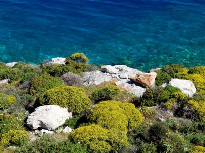 Κάντε κλικ για να δείτε την εικόνα σε πλήρες μέγεθος