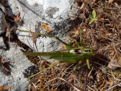 Κάντε κλικ για να δείτε την εικόνα σε πλήρες μέγεθος