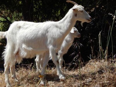 Κάντε κλικ για να δείτε την εικόνα σε πλήρες μέγεθος