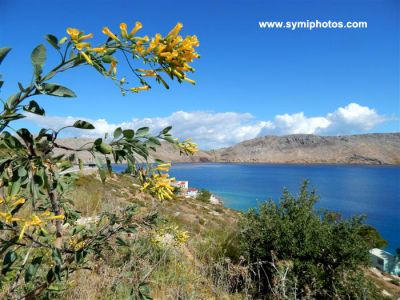 Κάντε κλικ για να δείτε την εικόνα σε πλήρες μέγεθος