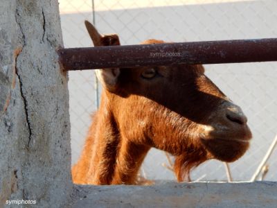 Κάντε κλικ για να δείτε την εικόνα σε πλήρες μέγεθος