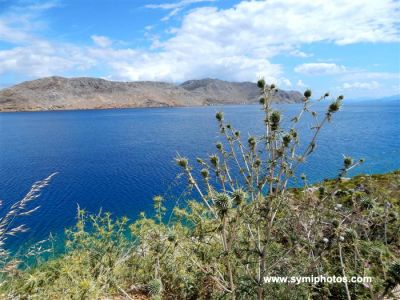 Κάντε κλικ για να δείτε την εικόνα σε πλήρες μέγεθος