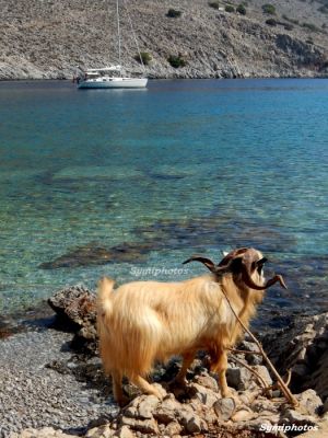 Κάντε κλικ για να δείτε την εικόνα σε πλήρες μέγεθος