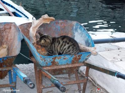 Κάντε κλικ για να δείτε την εικόνα σε πλήρες μέγεθος