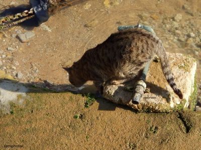 Κάντε κλικ για να δείτε την εικόνα σε πλήρες μέγεθος