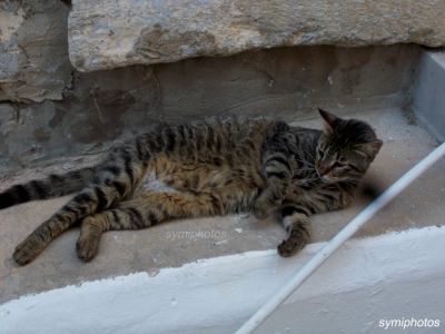 Κάντε κλικ για να δείτε την εικόνα σε πλήρες μέγεθος