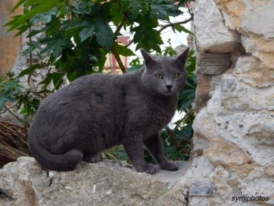 Κάντε κλικ για να δείτε την εικόνα σε πλήρες μέγεθος