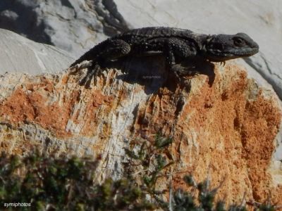 Κάντε κλικ για να δείτε την εικόνα σε πλήρες μέγεθος