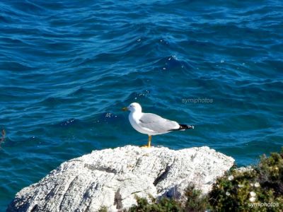 Κάντε κλικ για να δείτε την εικόνα σε πλήρες μέγεθος