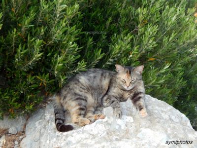 Κάντε κλικ για να δείτε την εικόνα σε πλήρες μέγεθος