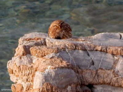 Κάντε κλικ για να δείτε την εικόνα σε πλήρες μέγεθος