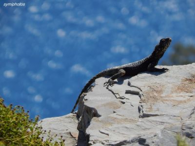 Κάντε κλικ για να δείτε την εικόνα σε πλήρες μέγεθος