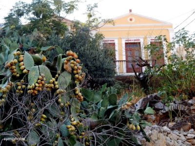 Κάντε κλικ για να δείτε την εικόνα σε πλήρες μέγεθος