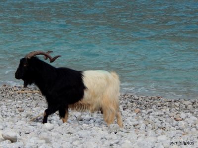 Κάντε κλικ για να δείτε την εικόνα σε πλήρες μέγεθος