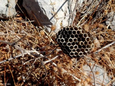 Κάντε κλικ για να δείτε την εικόνα σε πλήρες μέγεθος