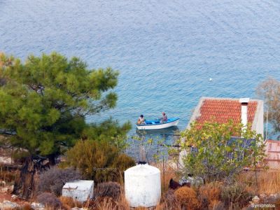 Tam boy resmi görebilmek için tıklayın