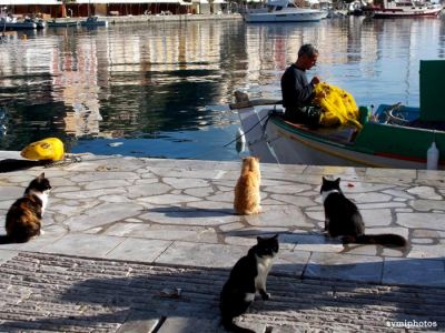 Κάντε κλικ για να δείτε την εικόνα σε πλήρες μέγεθος