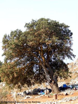 Κάντε κλικ για να δείτε την εικόνα σε πλήρες μέγεθος