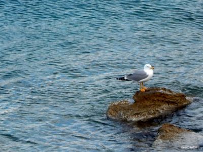 Κάντε κλικ για να δείτε την εικόνα σε πλήρες μέγεθος