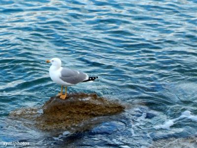 Κάντε κλικ για να δείτε την εικόνα σε πλήρες μέγεθος