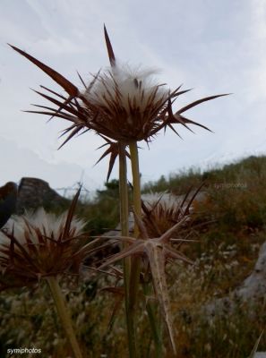 Κάντε κλικ για να δείτε την εικόνα σε πλήρες μέγεθος