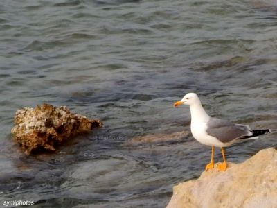 Κάντε κλικ για να δείτε την εικόνα σε πλήρες μέγεθος